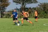 S.K.N.W.K. 2 - Wolfaartsdijk 2 (comp.) seizoen 2021-2022 (21/41)